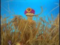 Рассказ о чуде из чудес